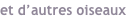 shapeimage_1_link_10